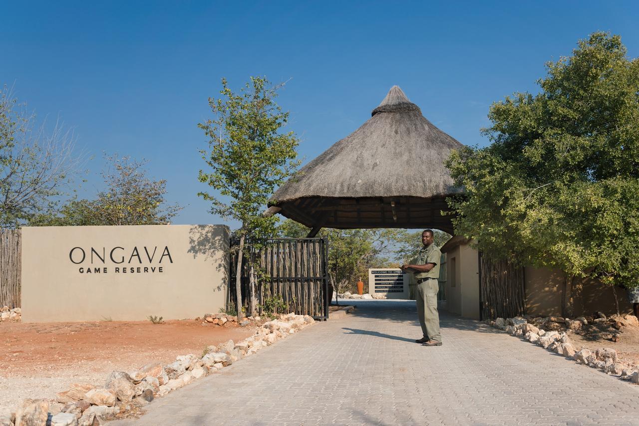 Ongava Tented Camp 奥考奎约 外观 照片